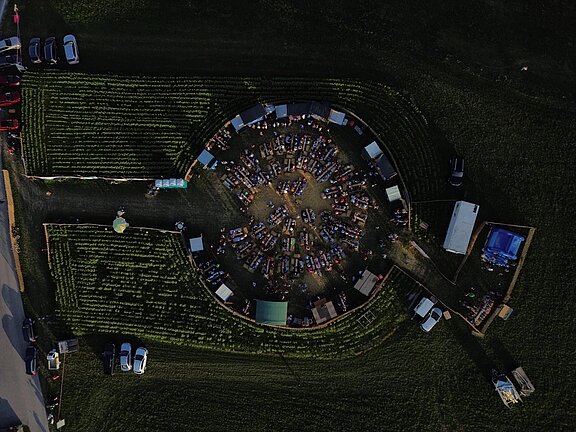Sonnenblumenfest_2.jpg  